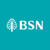 BSNSecure APK icon